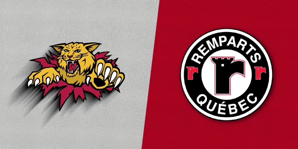 RQ WILDCATSXREMPARTS 1820 X910