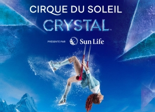 GESTEV sw Cirquedu Soleil CV2024 800x580
