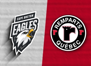 RQ EAGLESXREMPARTS 800 X580