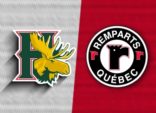 RQ MOOSEHEADSXREMPARTS 800 X580