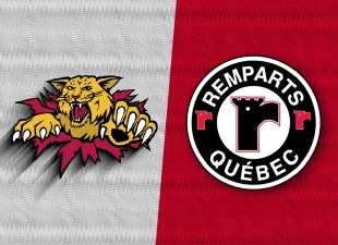 RQ WILDCATSXREMPARTS 800 X580