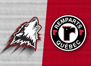 RQ HUSKIESXREMPARTS 800 X580