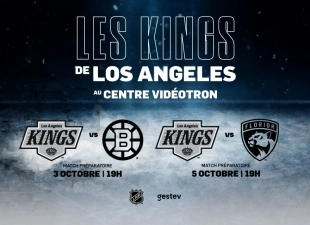 GESTEV sw LA Kings CV2024 800x910